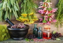 ممنوعیت فروش داروهای گیاهی در عطاریها